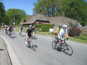 RTF Celle Rocky 639